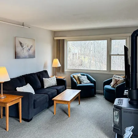 Mountainside Resort F302